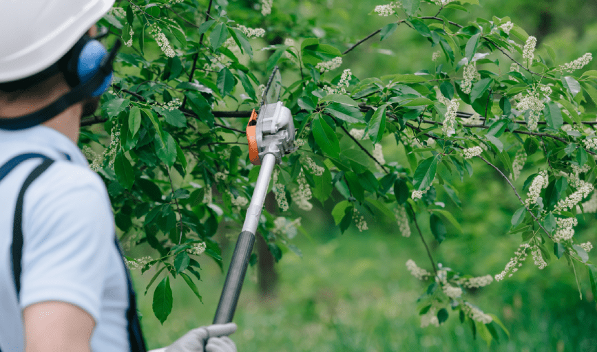 Funderburk Landscaping