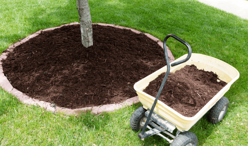 Funderburk Landscaping